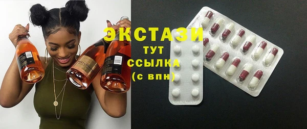 крисы Козельск