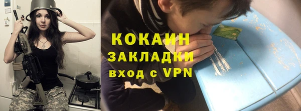индика Переславль-Залесский