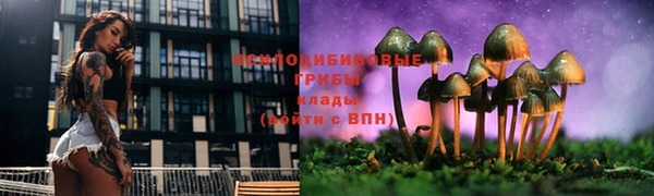 индика Переславль-Залесский