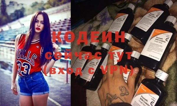 индика Переславль-Залесский