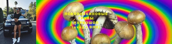 крисы Козловка