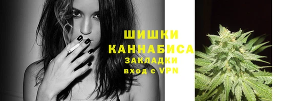 индика Переславль-Залесский