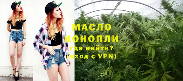 индика Переславль-Залесский