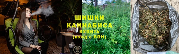 индика Переславль-Залесский