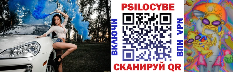 Псилоцибиновые грибы Psilocybe Красноярск