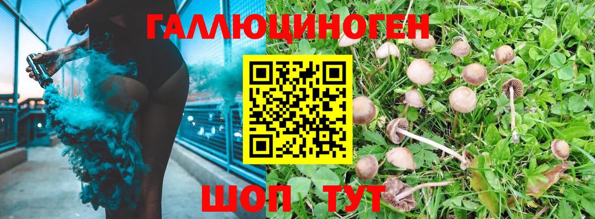 Галлюциногенные грибы MAGIC MUSHROOMS  Красноярск 