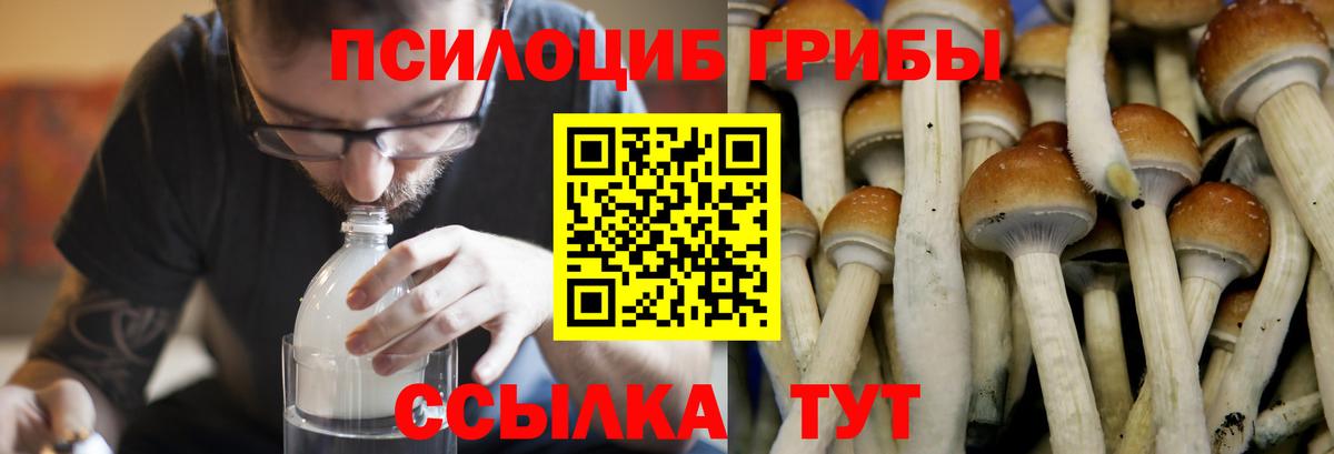 Галлюциногенные грибы Magic Shrooms  как найти   Красноярск  Вход с VPN 